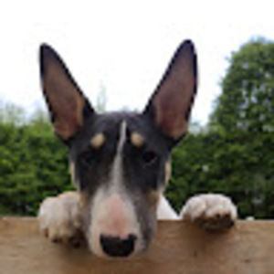 Meet your Posher, Sean